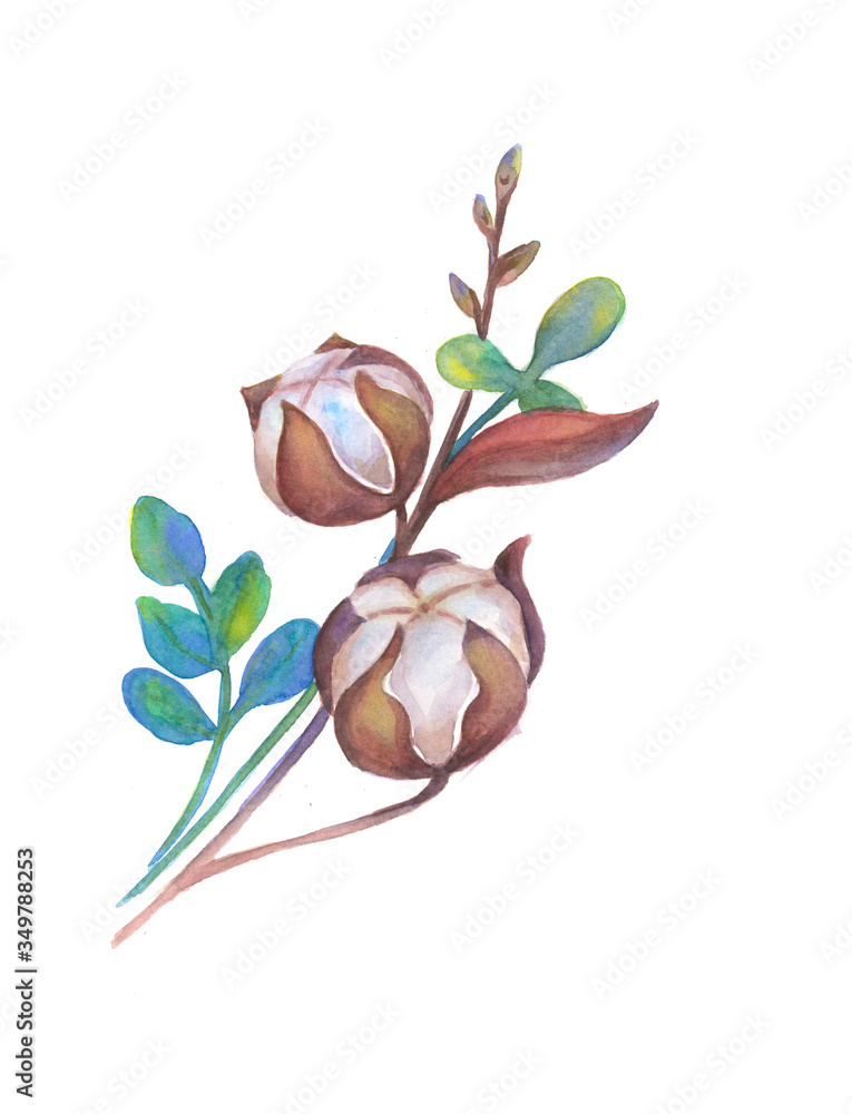 Obraz premium Watercolor Illustration. Can be used as romantic background for web pages, invitations, postcards, textile design, patterns, prints for kitchen, menu, restaurants.Plants. Isolated.