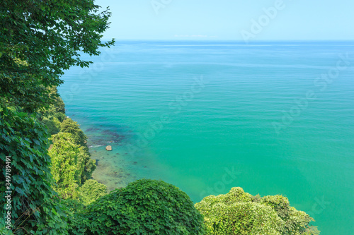 Paradise landscape: sea view, clear blue sky, lush vegetation in the foreground. Design for greeting card or calendar, place for text. Batumi Botanical Garden, Adjara Autonomous Republic, Georgia.