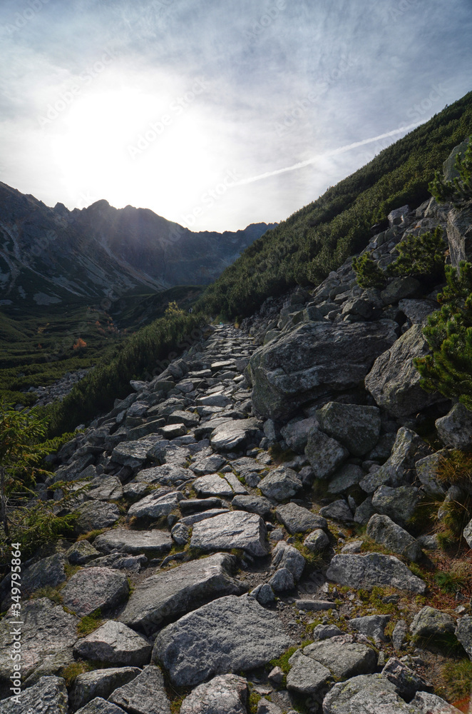 Fototapeta premium High tops of Polish Tatra Mountains National Park in Zakopane Poland