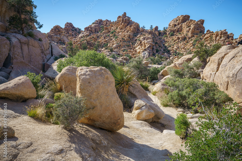 hiking the hidden valley trail in joshua tree national park, california, usa hiking the hidden valley trail in joshua tree national park, california, usa