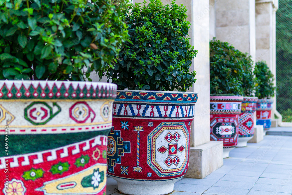Bushes of greenery in pots with authentic ornaments on the street Bushes of greenery in pots with authentic ornaments on the street