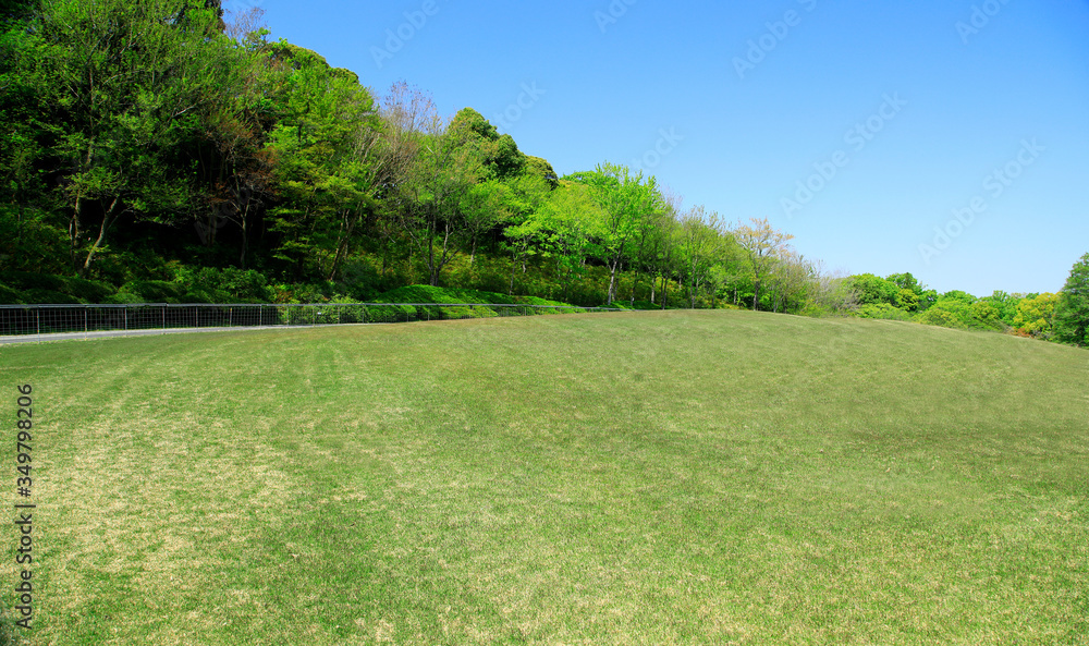 芝生広場　芝生公園　新緑の芝生　新緑の芝生広場　初夏の芝生広場　芝生　広場　新緑　公園　森林公園　青空広場　青空公園　グリーンパーク