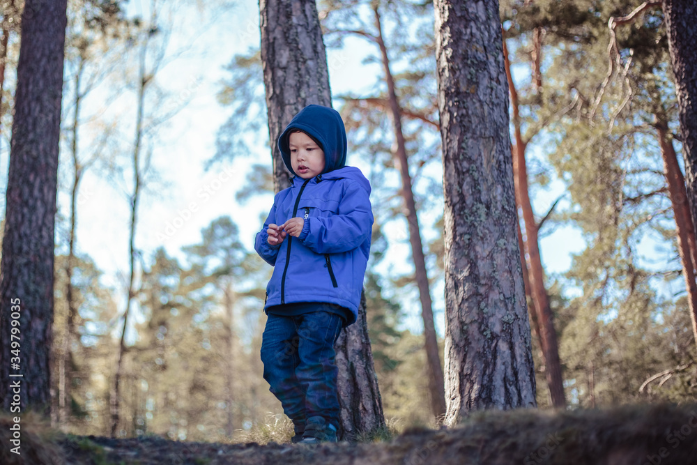 Little boy alone in a spring forest Little boy alone in a spring forest