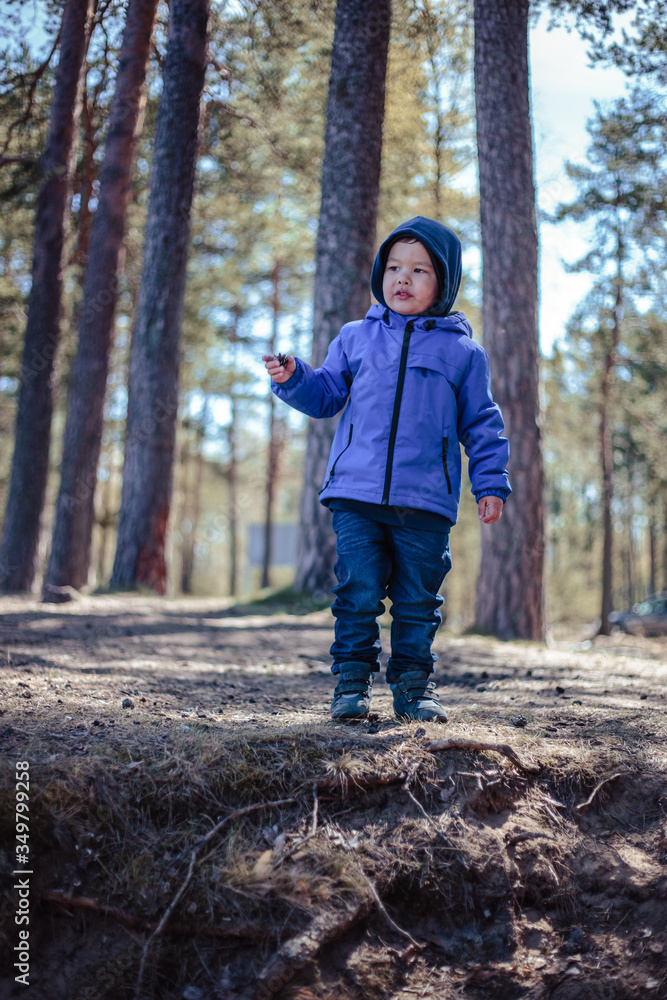 Little boy alone in a spring forest Little boy alone in a spring forest