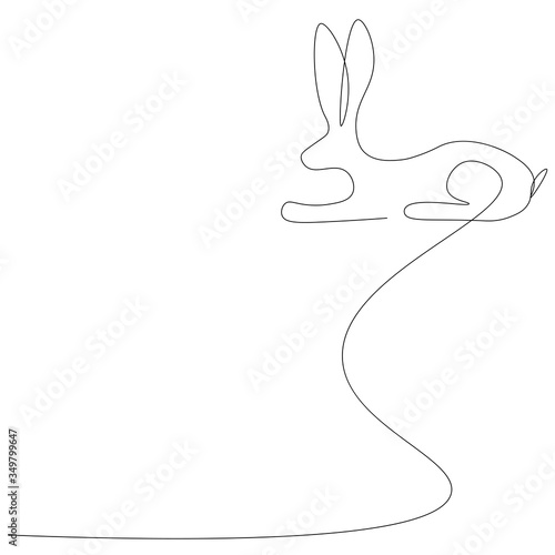Bunny animal on white background, vector illustration