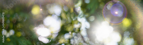 Abstract summer background. Sun glare defocus.