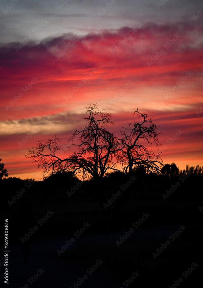 Dramatic sunset, with ghost tree and full moon