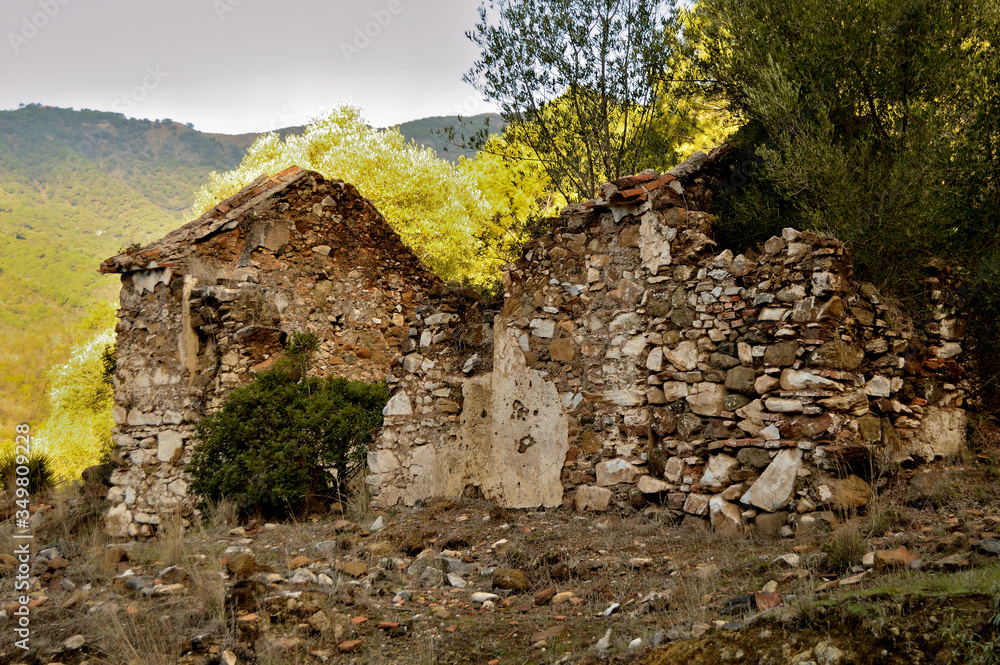 ruinas rural casa de piedras antigua en ruinas con arboles 