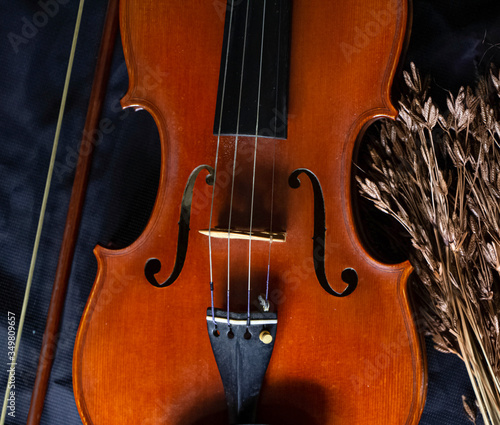 The wooden violin put beside dried flower,on grunge surface background