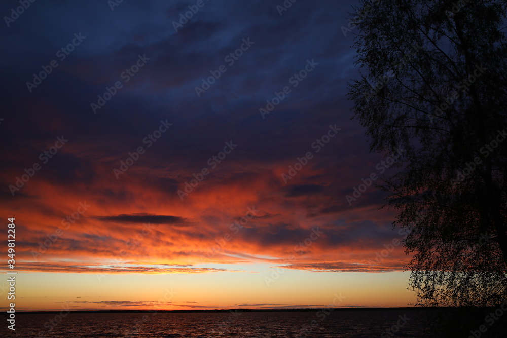 Wild sunset on the lake.Through the branches of the tree, a view of the intensely burning sky with continuous clouds of mixed dark colors over the lake.A bright horizon divides the darkness.Russia