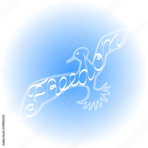 symbol of freedom.  seagull in the blue sky.  vector image