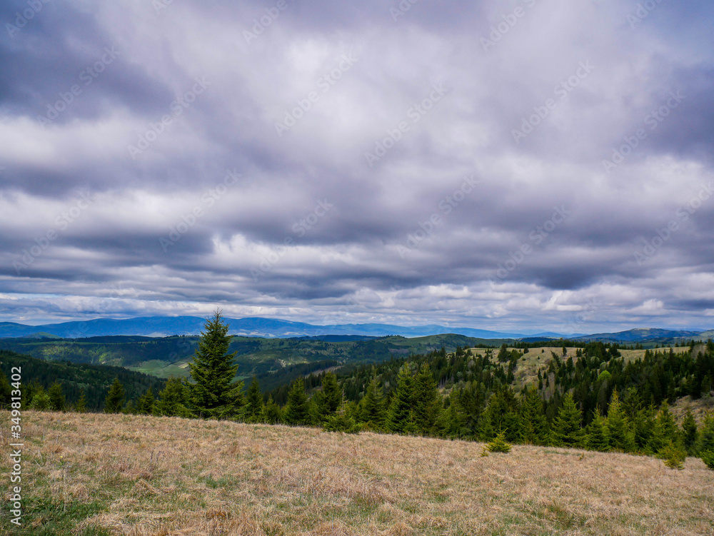 View of beautiful pine woods from the top of the mountain in the Carpathian mountains, Romania. View of beautiful pine woods from the top of the mountain in the Carpathian mountains, Romania.
