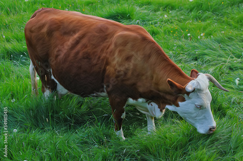 Artwork - A beautiful cow grazing in the pasture