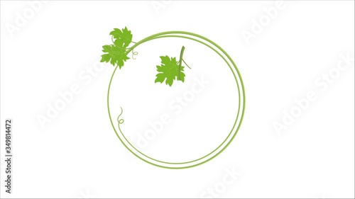 Bunches of grapes, Jewish holiday of Shavuot