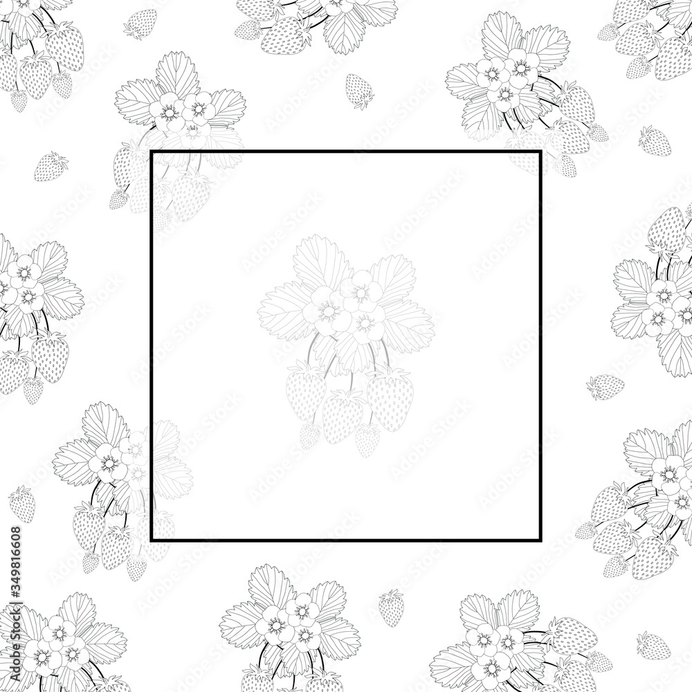 Strawberry and Flower Outline Banner on White Background2