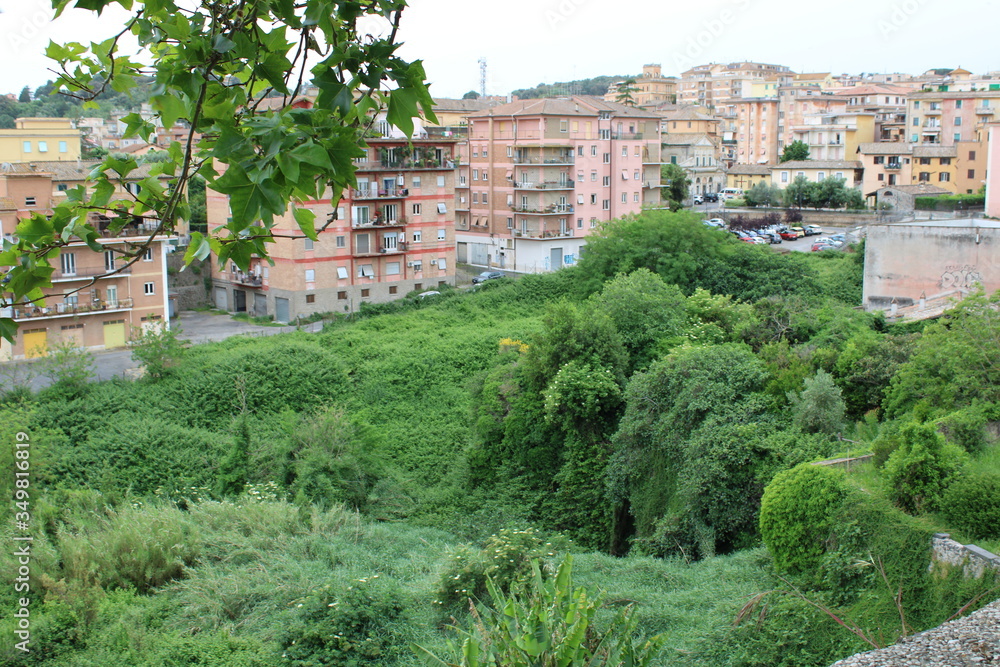 panoramic view of the city of bracciano near rome italy 