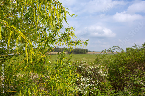 Obraz na płótnie Spring in Havelland, Brandenburg. View of the fresh green and flooded meadows. w salonie