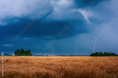 lightning in the field