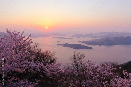 日本の春　瀬戸内海の日の出　桜満開の竜王山からの景色
