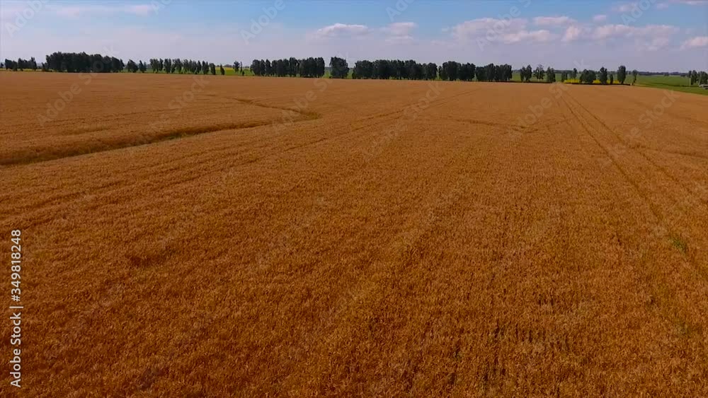 A quadrocopter shot of an agricultural field during the harvest season. A quadrocopter shot of an agricultural field during the harvest season.