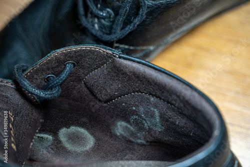 Mold inside the shoes. Close-up of green mildew. Footwear with fungus. photo