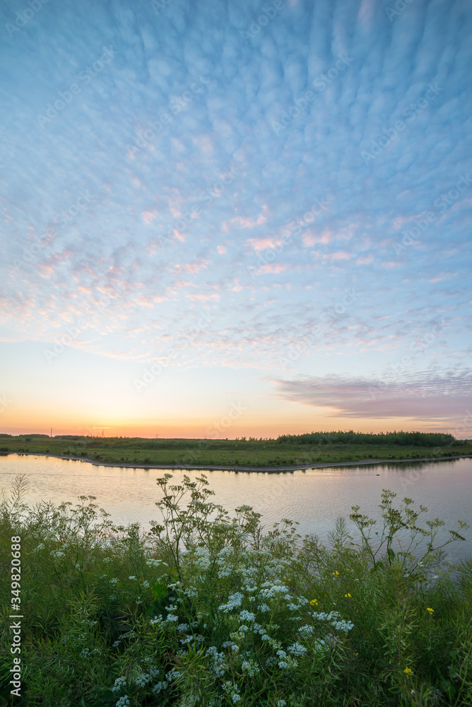 Altocumulus clouds at sunset over Bentwoud, a recreational area in the western part of The Netherlands