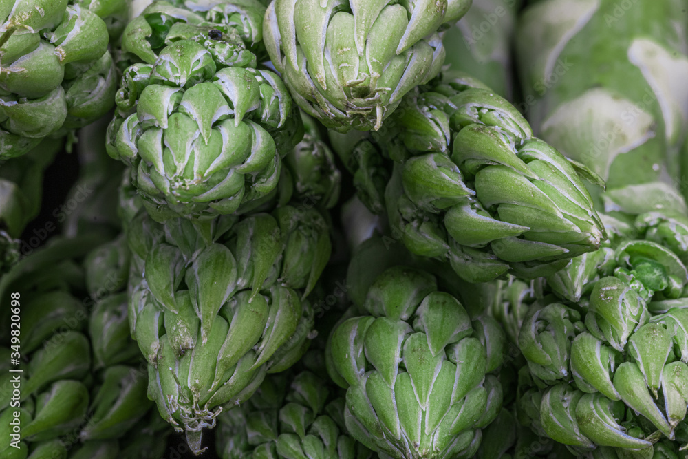 Fototapeta premium Macro closeup of organic green asparagus with focus on asparagus heads