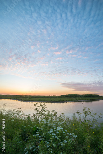 Altocumulus clouds at sunset over Bentwoud  a recreational area in the western part of The Netherlands