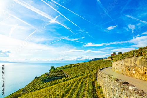 Lavaux, Switzerland: Lake Geneva and the Swiss Alps landscape seen from Lavaux vineyard tarraces in Canton of Vaud