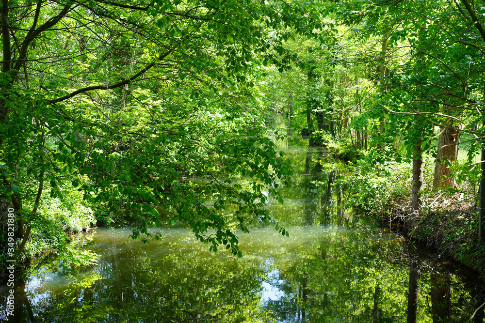 Sonnige, grüne Spreewaldlandschaft am Wasser Sonnige, grüne Spreewaldlandschaft am Wasser