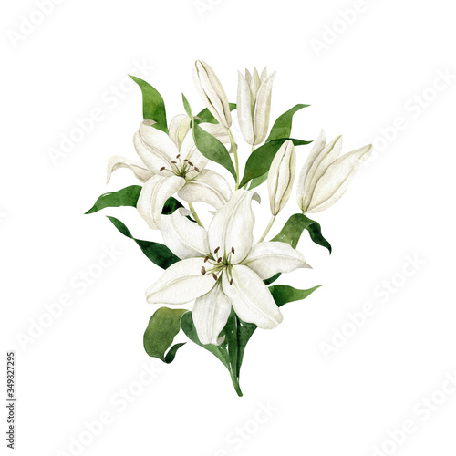 Watercolor white lilies single vertical bouquet isolated on white background. Floral compositionHand drawn clipart for wedding invitations, birthday stationery, greeting cards, scrapbooking.