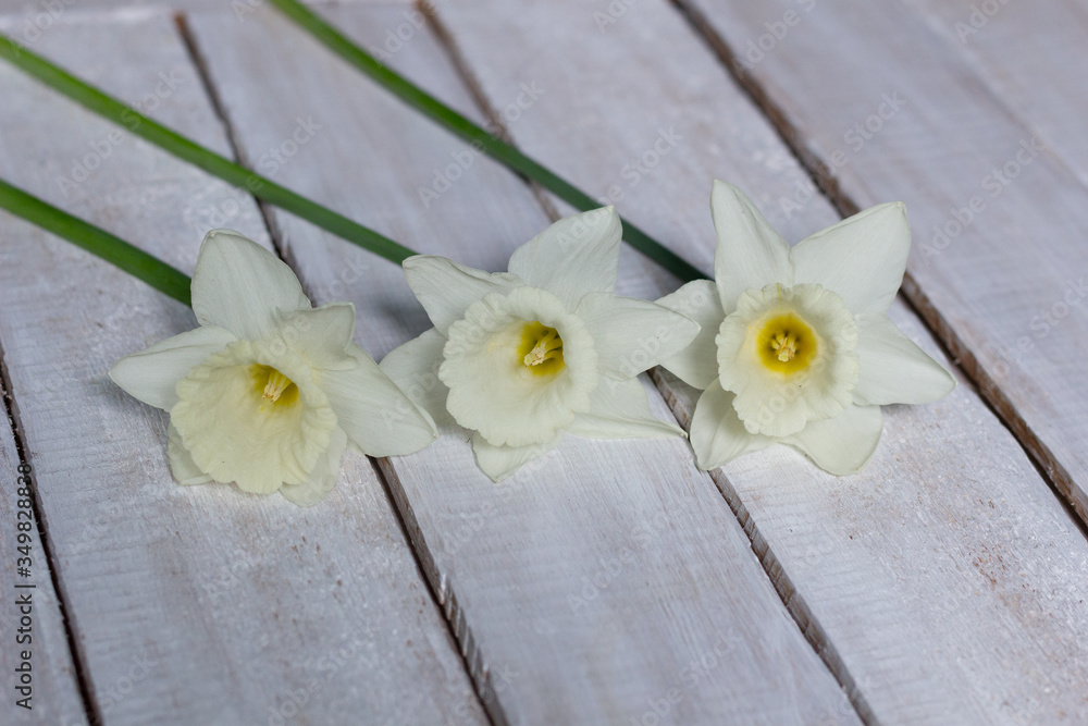 fresh daffodils laying on white wooden table