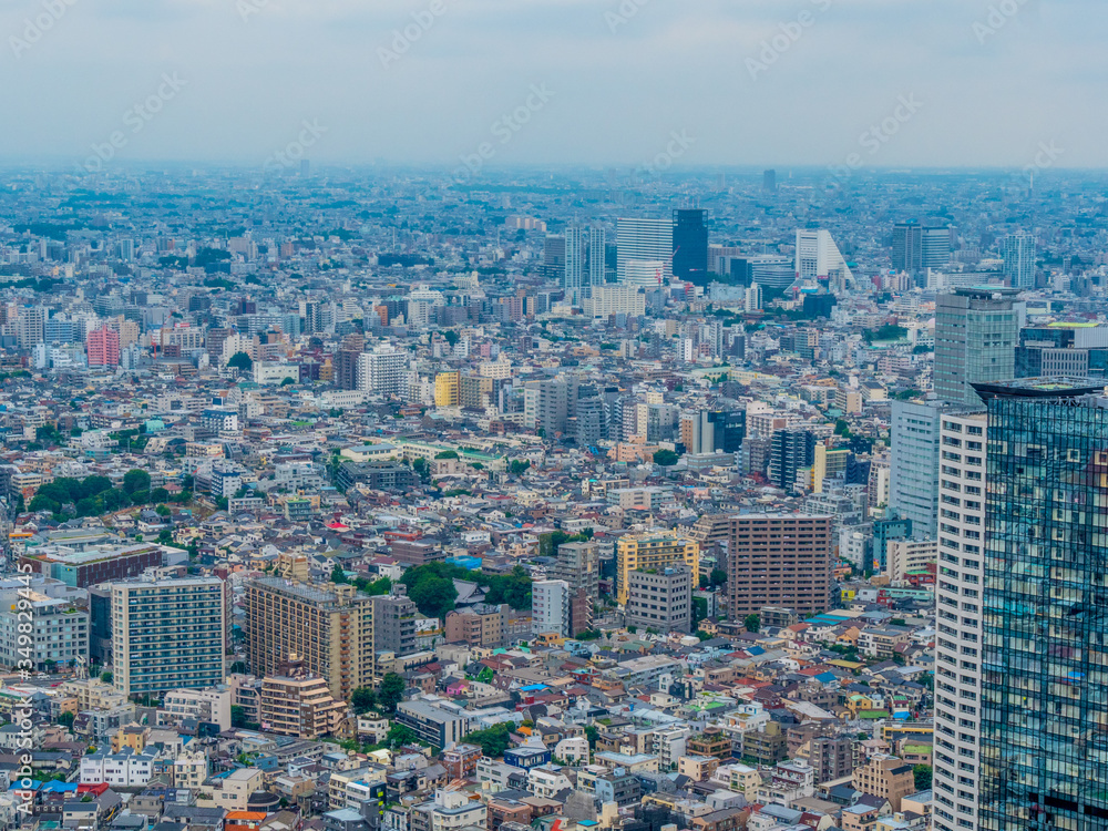 The city of Tokyo - wide angle aerial view - TOKYO / JAPAN - JUNE 17, 2018