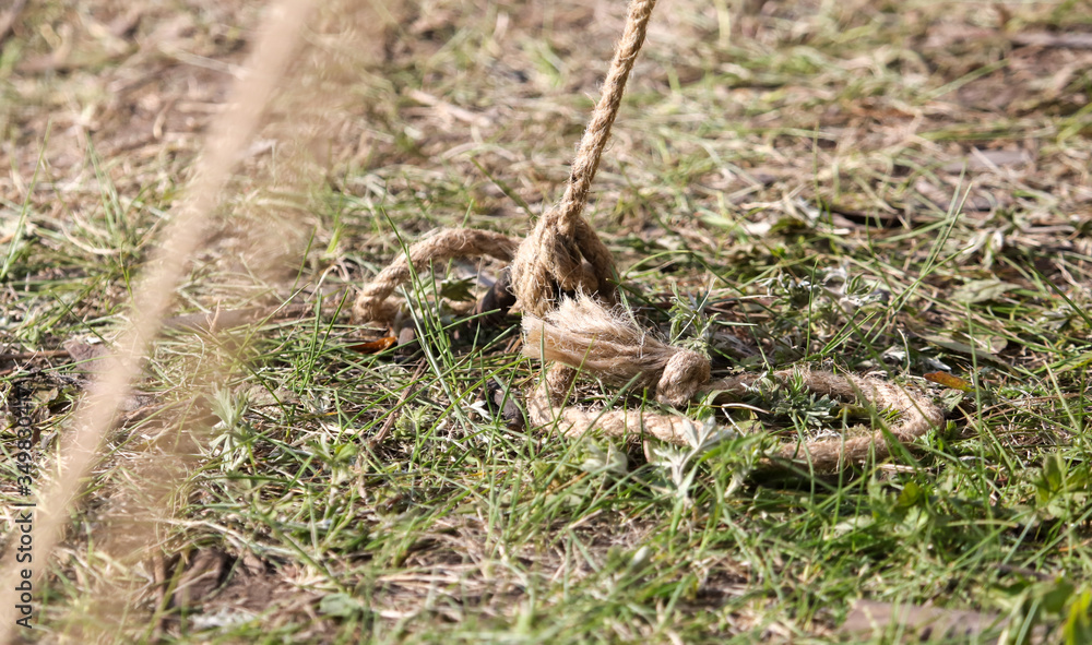 Obraz premium A peg hammered into the ground