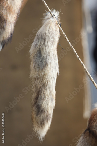 Fur with the skin of a fox © schankz