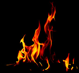 Flame of fire on a black background