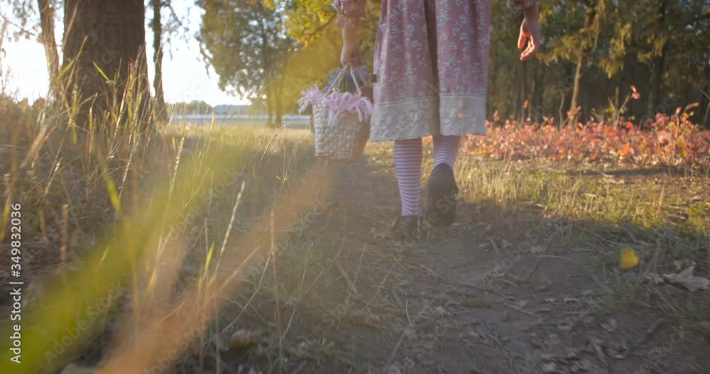 custom made wallpaper toronto digitalClose up feet of pretty girl in pink dress with a basket full of fruits and flowers walking along a path, in golden fairy forest on sunny autumn evening. Low angle, slow motion