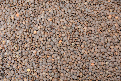 brown lentil