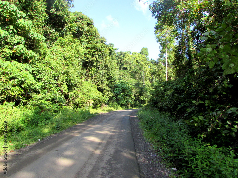 Scenic view on the way to Baratang Island, Andaman, India