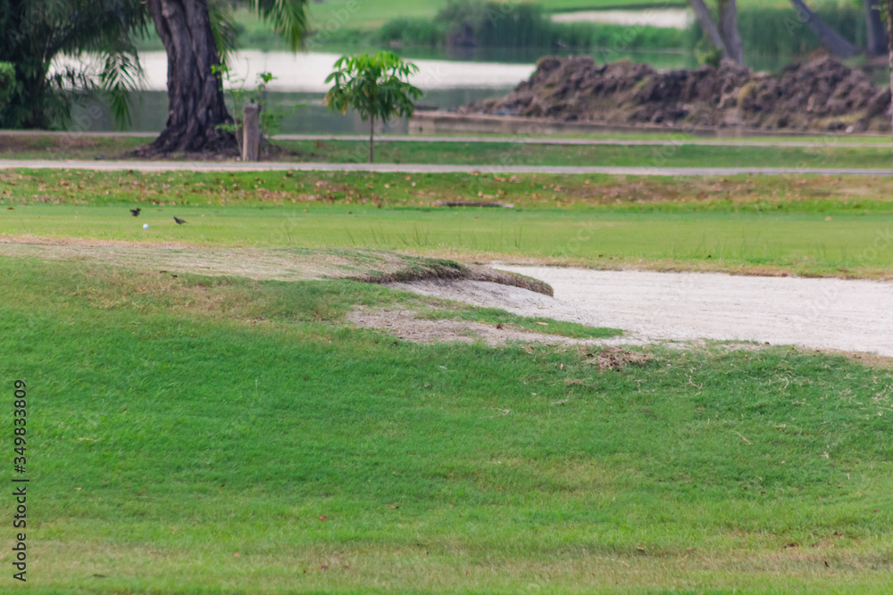 sand mound in golf course with lush grass, are perfect for doing sports during the day sand mound in golf course with lush grass, are perfect for doing sports during the day