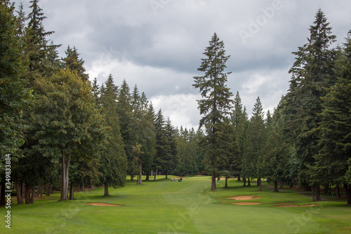 Картината върху платно Golf among st the Pines