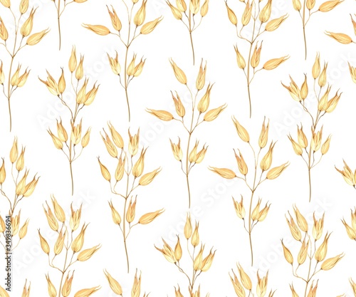 Seamless pattern with ear of oats. Cereal plants, organic products for oatmeal, healthy breakfast, oatmeal packaging design, kitchen textiles. Vector illustration in watercolor style.