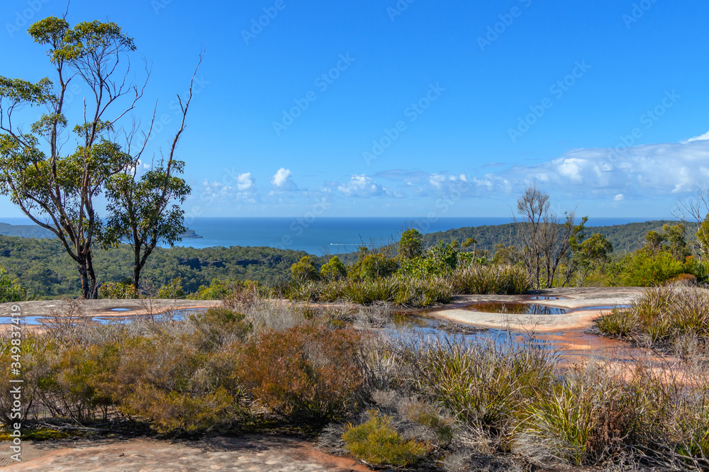 Australian Bush Landscape with Coastal Horizon Australian Bush Landscape with Coastal Horizon