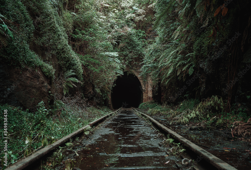 Old, abandoned railway tunnel in the middle of tropical forest - obrazy, fototapety, plakaty 