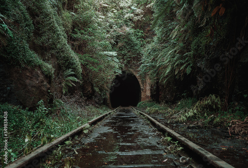 Canvas Print Old, abandoned railway tunnel in the middle of tropical forest