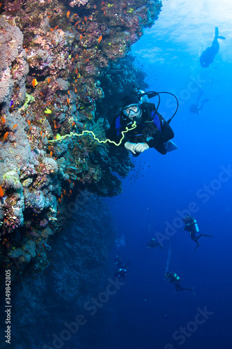 Wallpaper Mural Divers explore beautiful coral reef.. Torontodigital.ca