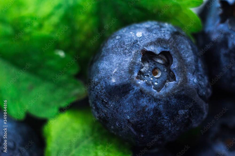 Obraz premium macrophotography of blueberries with mint leaves with water drops on the surface. blackberries with green leaves with carved edges