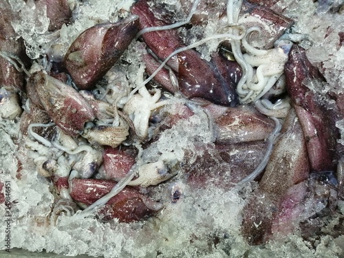 Close up of  fresh squid laid on ice in market 