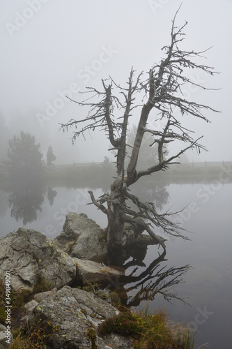 Herbst am Windebensee auf der Nockalmstraße in den Gurktaler Alpen	 photo