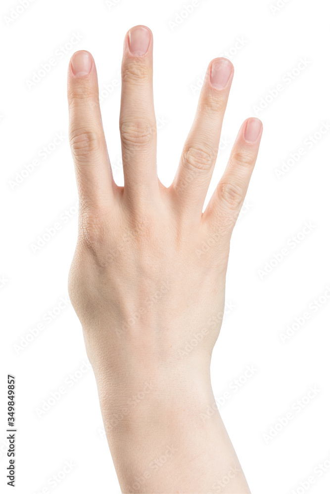 Male hand counting from one to five isolated on white background Male hand counting from one to five isolated on white background